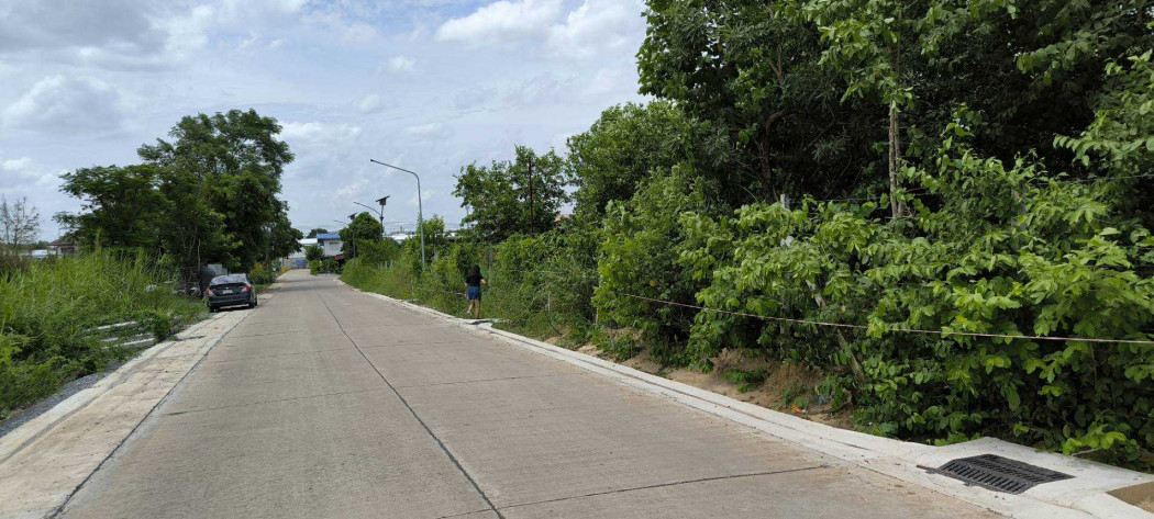 Land for sale, Pathum Thani-Sai Nai, Road 307, size 19 rai 2 ngan 83.6 sq wa, filled in. – รูปที่ 2