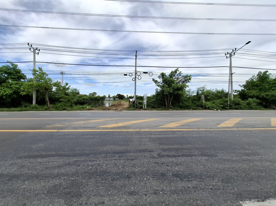 ขาย ที่ดิน ผังสีเหลือง ริมถนนวัดศรีวารีน้อย 6 ไร่กว่า ถนน 4 เลน  เหมาะทำการค้า จัดสรร DD – รูปที่ 3