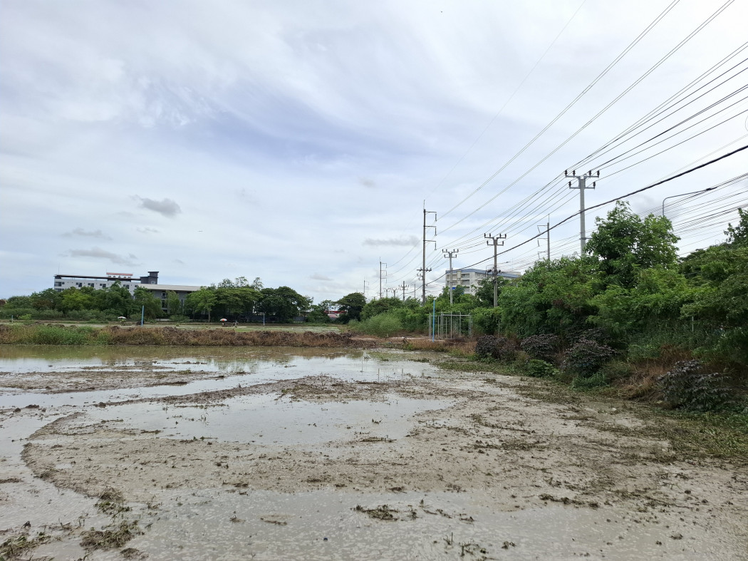 ขาย ที่ดิน ผังสีเหลือง ริมถนนวัดศรีวารีน้อย 6 ไร่กว่า ถนน 4 เลน  เหมาะทำการค้า จัดสรร DD – รูปที่ 4