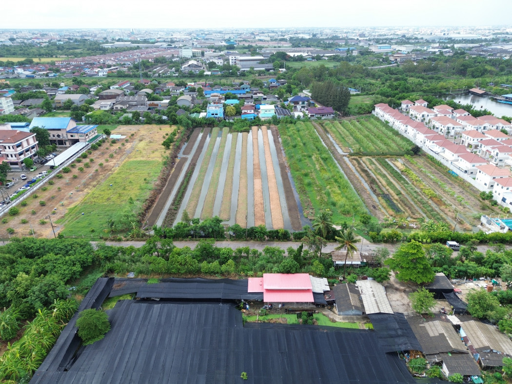 Land for sale, Suan Luang, Krathum Baen District, Samut Sakhon, 8 rai 3 ngan 72 sq w, near Phutthasakhon Road, just 2.3 km. DD – รูปที่ 4