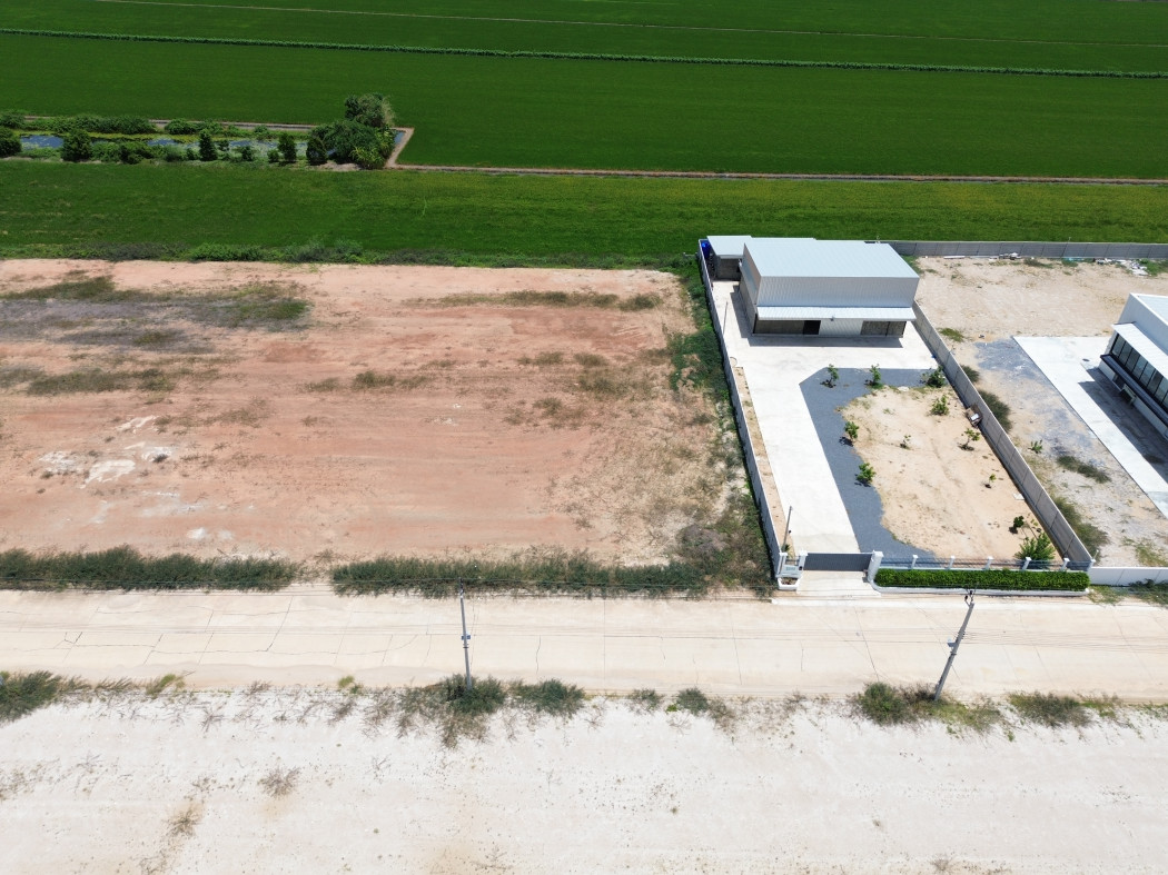 ขาย ที่ดิน ผังสีม่วง ตำบลไทรใหญ่ อำเภอไทรน้อย 400 ตรว หมาะทำโรงงานโกดัง DD – รูปที่ 4