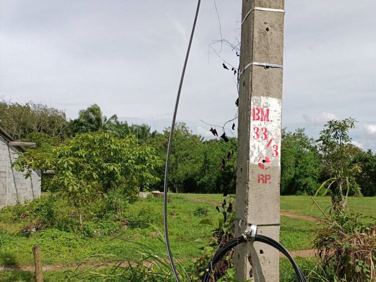 BG 18734: Empty Land – รูปที่ 4