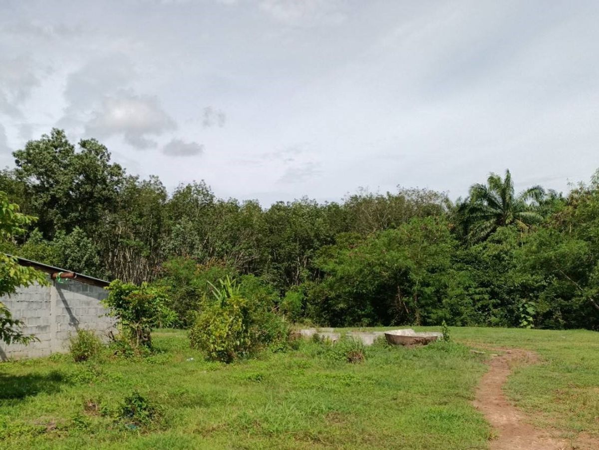 BG 18734: Empty Land BG 18734: Empty Land