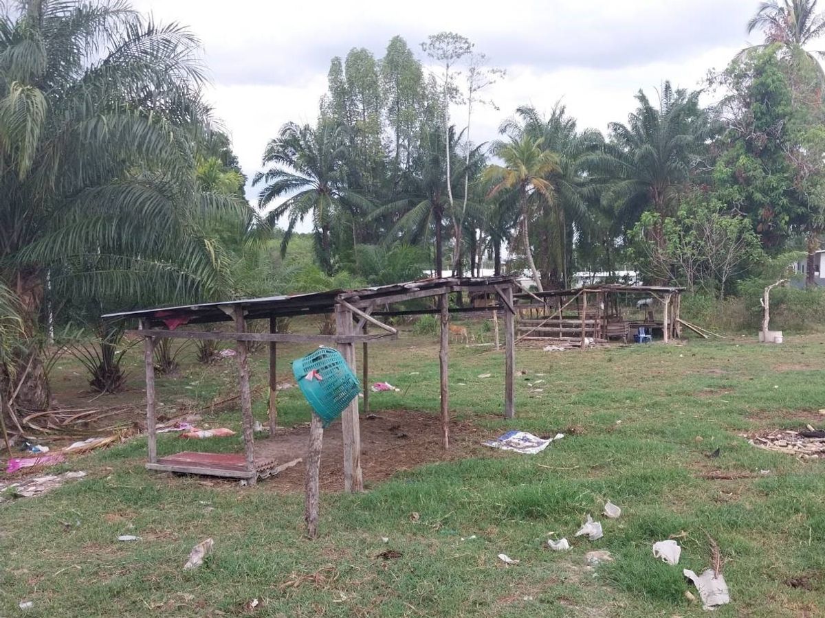 BG 7545: Empty Land – รูปที่ 3