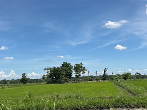 BD 13591: Kalasin empty land