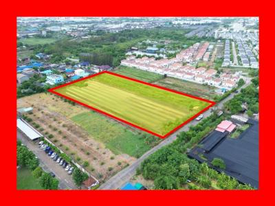 Land for sale, Suan Luang, Krathum Baen District, Samut Sakhon, 8 rai 3 ngan 72 sq w, near Phutthasakhon Road, just 2.3 km. DD