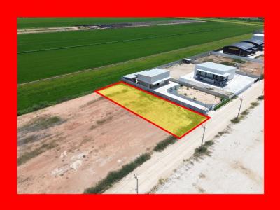Land for sale, Sai Yai Subdistrict, Sai Noi District, Nonthaburi, 400 sq w, near Pathum Thani-Bang Len Road, only 2.4 km. DD