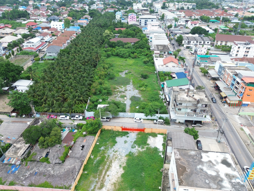 ขาย ที่ดิน ซอยบางแวก 120 ขนาด 2 ไร่กว่า ใกล้ ถ.บางแวกแค่ 50 ม. DD – รูปที่ 4