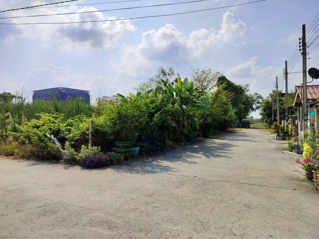 ขาย ที่ดิน 394 ตรว หมู่บ้านธารทอง 2 ใกล้ถ.วัดลาดปลาดุก 600 เมตร KK – รูปที่ 2