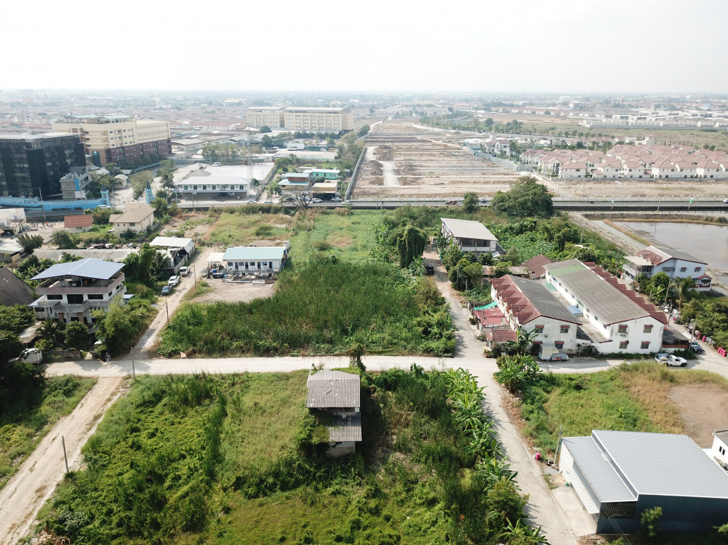ขาย ที่ดิน 394 ตรว หมู่บ้านธารทอง 2 ใกล้ถ.วัดลาดปลาดุก 600 เมตร KK – รูปที่ 4