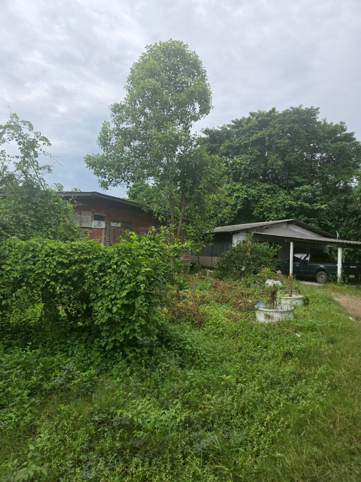 sss501 Land for sale, Khlong 1 Rangsit, near Charusorn School Line:  @956uovqp – รูปที่ 4