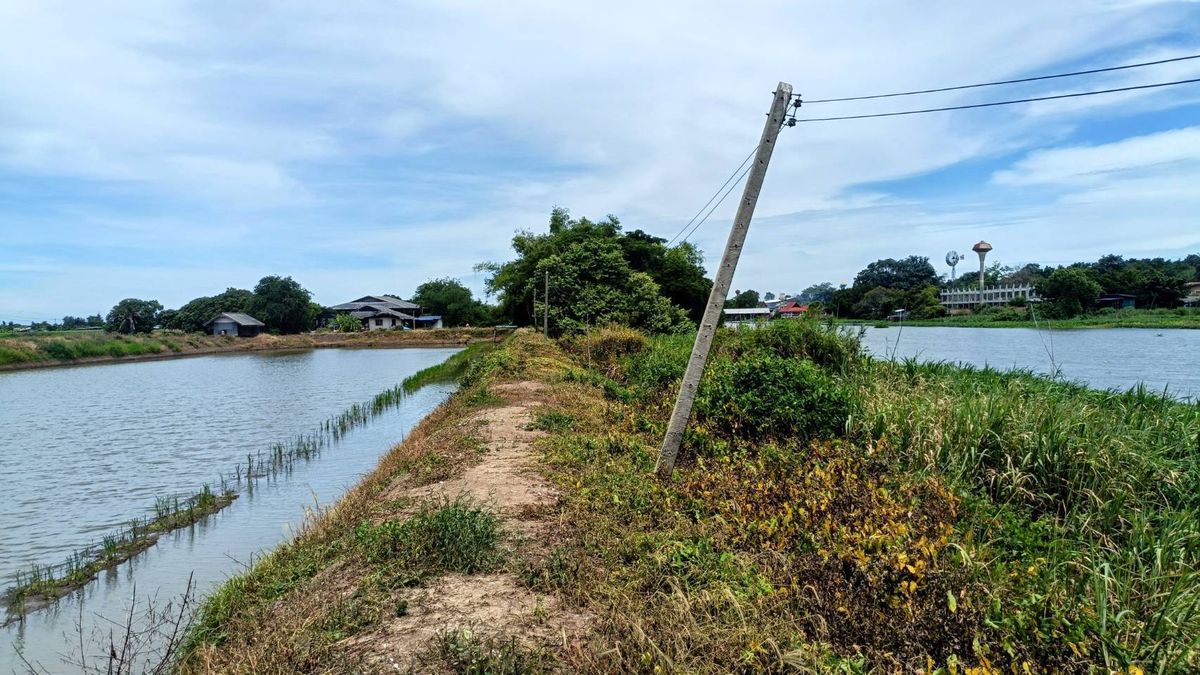 Large plot of land adjacent to the Tha Chin River, over 200 meters of water, gold, in the heart of Bang Lane, Nakhon Pathom – รูปที่ 3