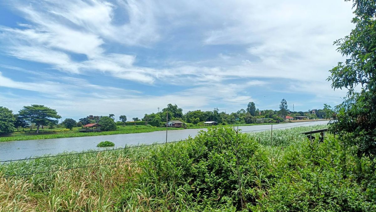 Large plot of land adjacent to the Tha Chin River, over 200 meters of water, gold, in the heart of Bang Lane, Nakhon Pathom – รูปที่ 4