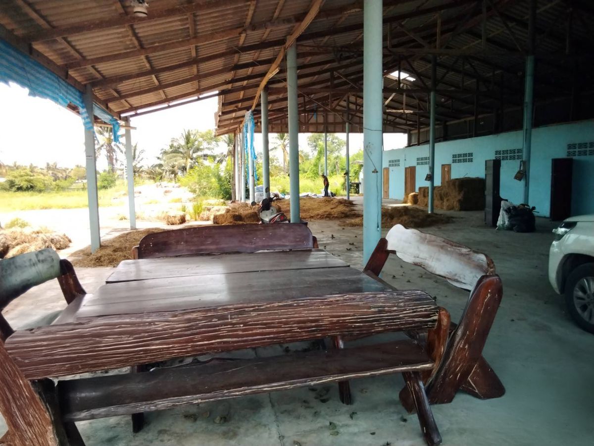BD 3113 : นอกโครงการอู่ทอง – รูปที่ 2