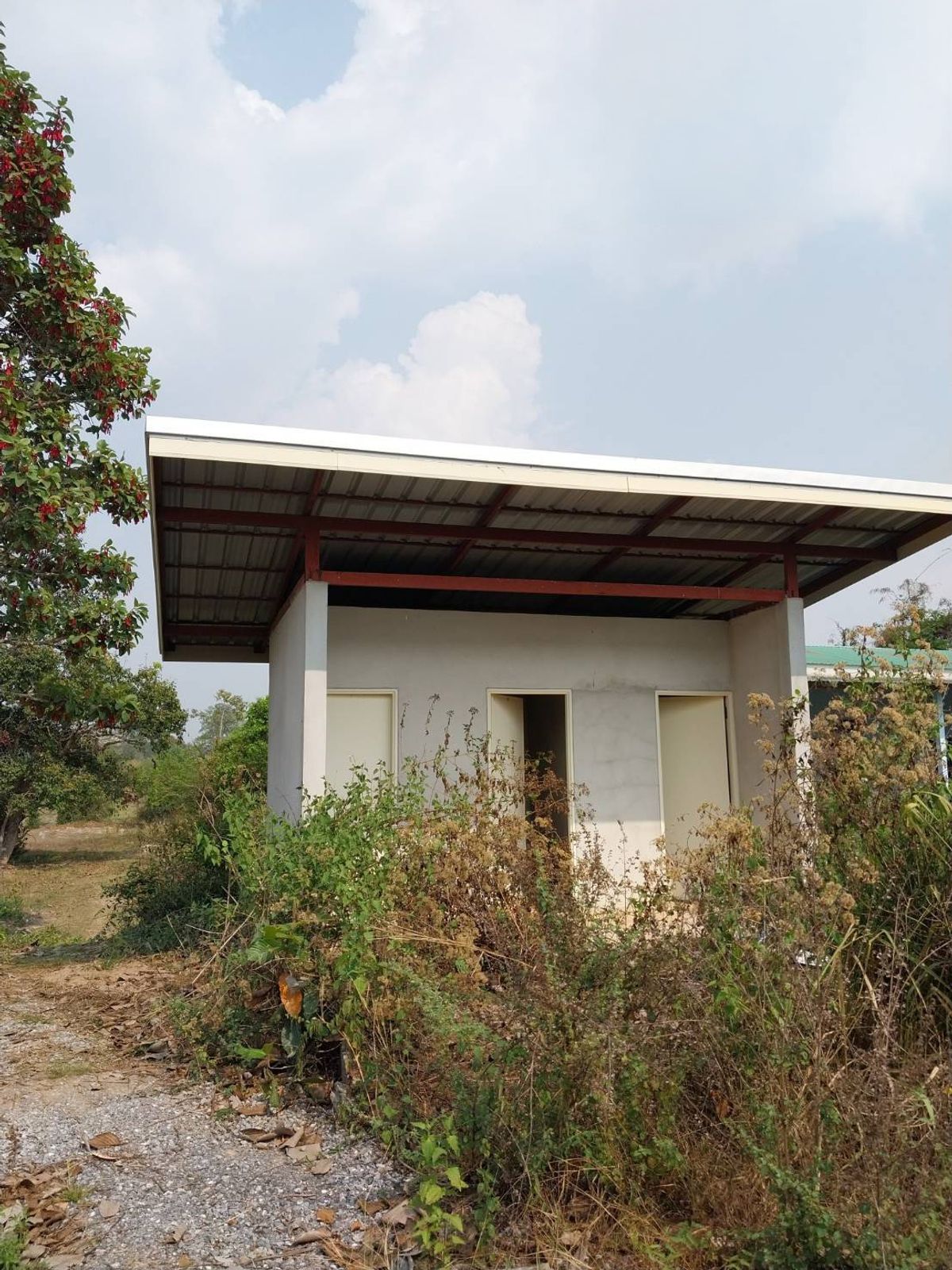 BD 16320 : ที่ดินเปล่าหนองคาย – รูปที่ 3