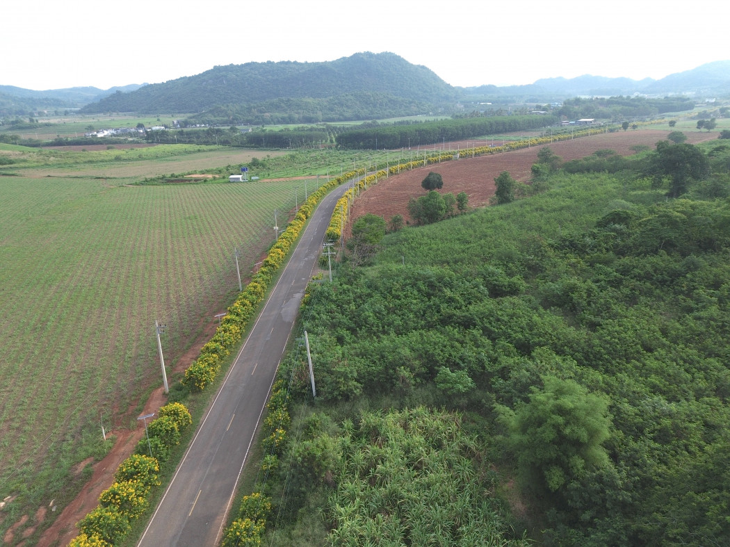 ขาย ที่ดิน เขาใหญ่ ต.​โป่งตาลอง​ อ.ปากช่อง 51 ไร่ ​ที่เป็นเนิน เห็นวิว360องศา​ – รูปที่ 3