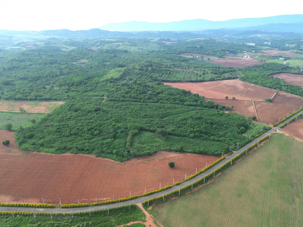 ขาย ที่ดิน เขาใหญ่ ต.​โป่งตาลอง​ อ.ปากช่อง 51 ไร่ ​ที่เป็นเนิน เห็นวิว360องศา​ – รูปที่ 4