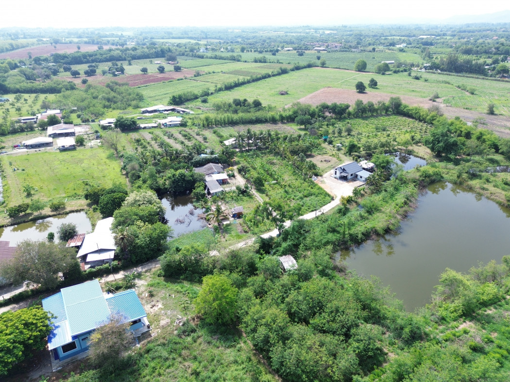 ขาย ที่ดิน เขาใหญ่ ต.​ขนงพระ​ อ.ปากช่อง 1 ไร่ 1 งาน 30 ตรว แค่เห็นวิว ก็มีความสุขแล้ว – รูปที่ 2