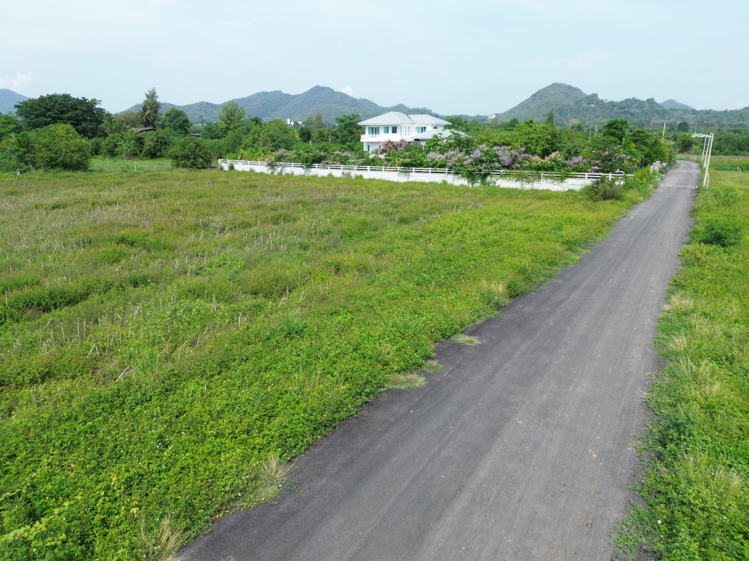 ขาย ที่ดิน เขาใหญ่ ต.​หนองน้ำแดง​ อ.ปากช่อง 6 ไร่ ใกล้ถนนธนะรัชต์แค่ 1.6 กม. – รูปที่ 3