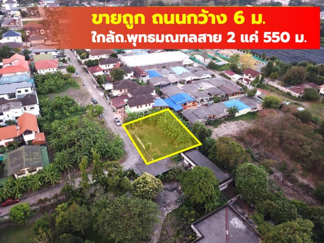 ขาย ที่ดิน ถูกที่สุด ม.ธีราคร  160 ตรว ใกล้ถ.พุทธมณฑลสาย 2 แค่ 550 ม. TV