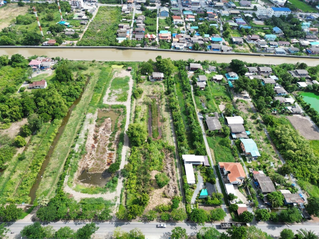 ขาย ที่ดิน ริมถนนผดุงพันธ์ หนองจอก 4 ไร่กว่า ผังสีเหลือง KK – รูปที่ 4