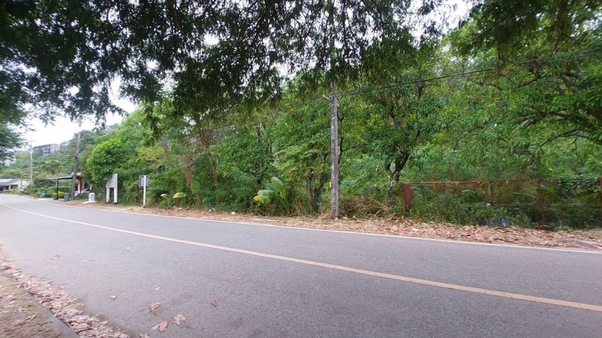 ขายที่ดินอ่าวปอ ภูเก็ต – รูปที่ 3
