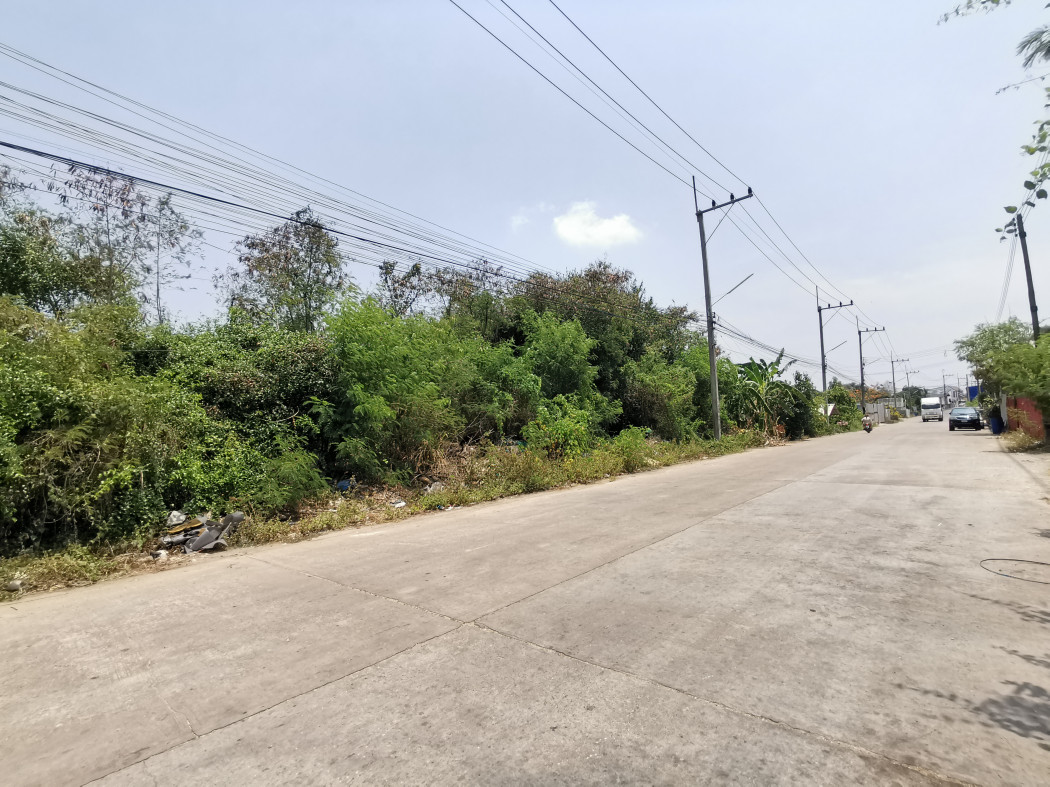 Land for sale, Ban Don Kai Dee, Soi 6, Krathum Baen District, 3 rai 2 ngan 92 square wah, near Saiyai Rak Road, only 550 m. KK – รูปที่ 2