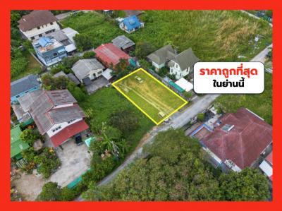 Land for sale, On Nut 66, size 91 square w, near Sukhumvit 77 Road, just 1.9 km. TV