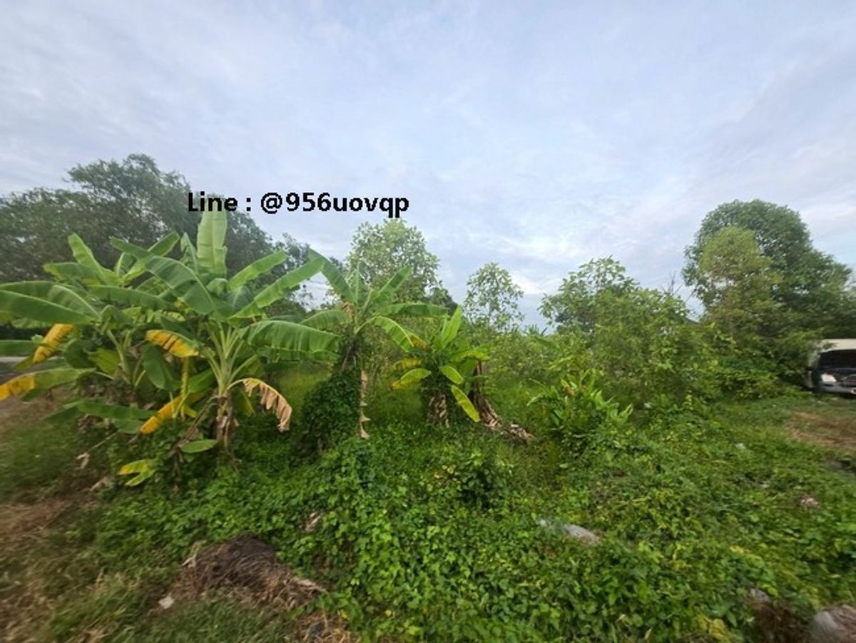 sss503 ขายที่ดิน คลอง 3 คลองหลวง ใกล้วัดธรรมกายLine:  @956uovqp