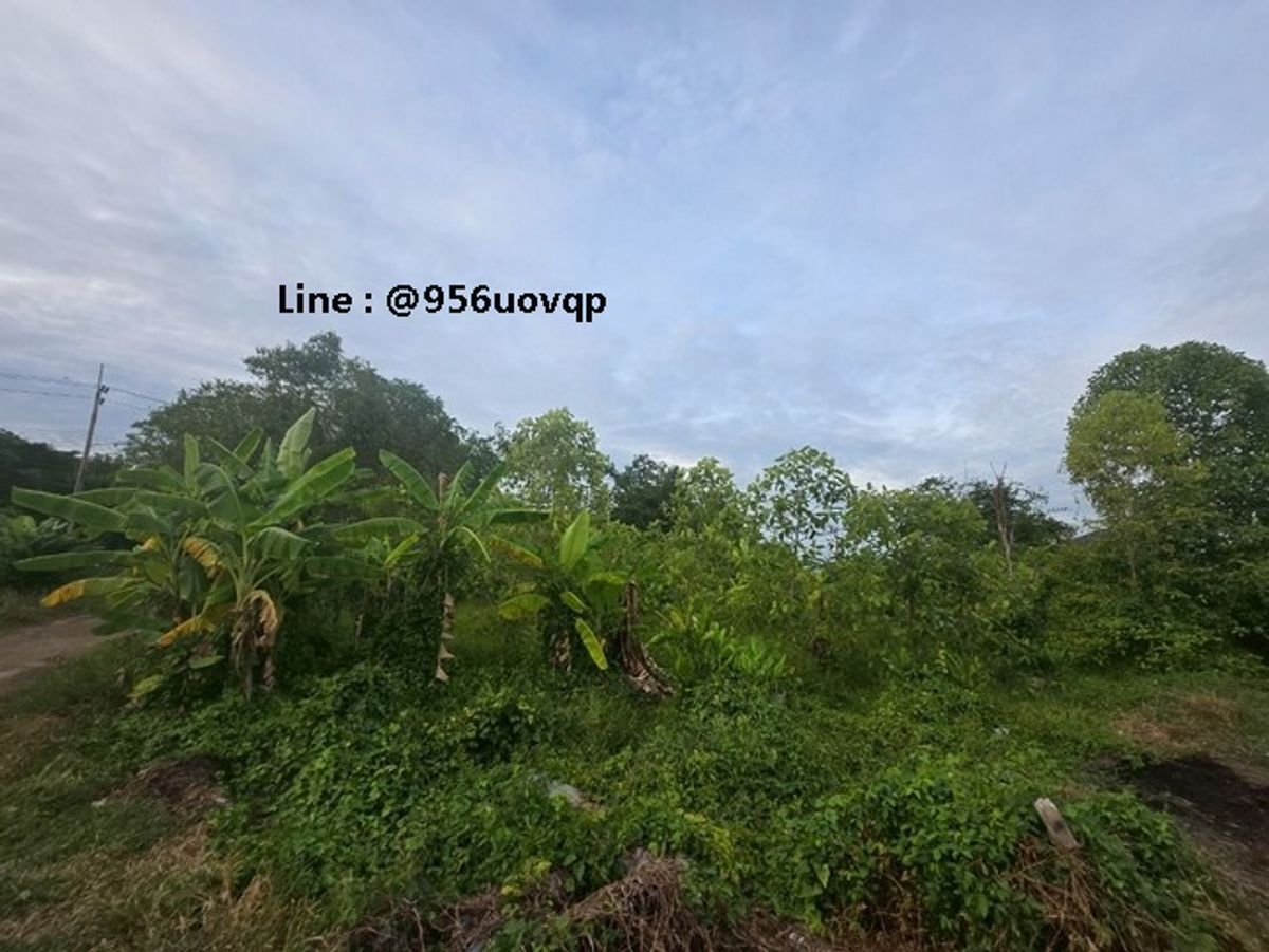 sss503 ขายที่ดิน คลอง 3 คลองหลวง ใกล้วัดธรรมกายLine:  @956uovqp – รูปที่ 2