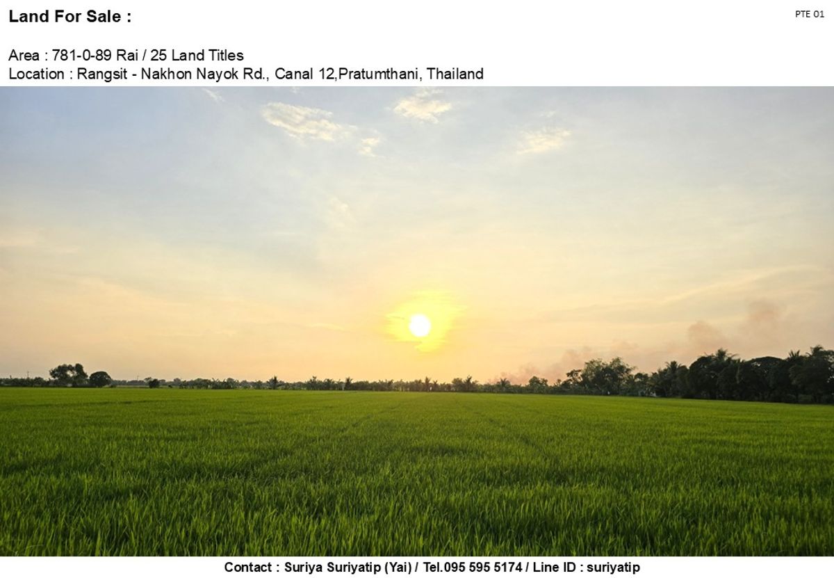 ขายที่ดินผืนใหญ่ แปลงสวย ราคาสุดถูก ติดถนนรังสิตนครนายก คลอง 12 เนื้อที่รวม 781 ไร่ @ ไร่ละ 650K ขายที่ดินผืนใหญ่ แปลงสวย ราคาสุดถูก ติดถนนรังสิตนครนายก คลอง 12 เนื้อที่รวม 781 ไร่ @ ไร่ละ 650K