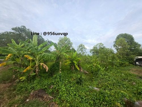 sss503 ขายที่ดิน คลอง 3 คลองหลวง ใกล้วัดธรรมกายLine:  @956uovqp
