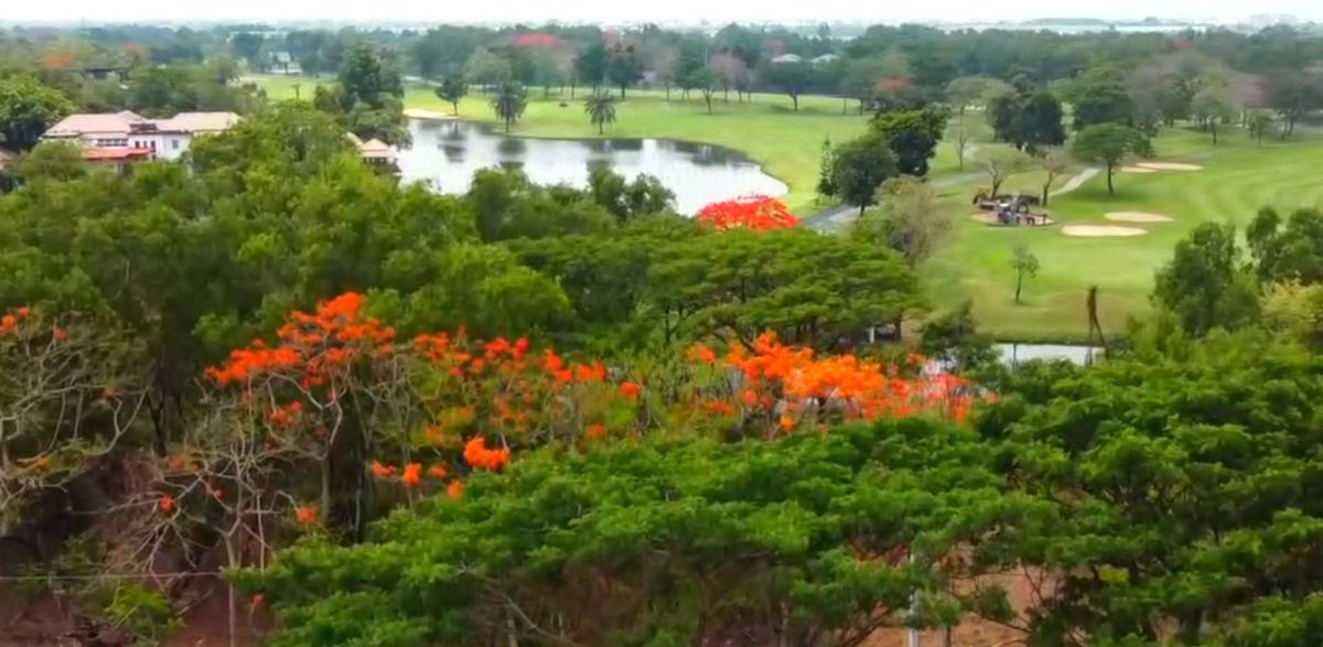 Beautiful plot of land for the Royal Golf and Country Club, near Suvarnabhumi Airport, area of ​​2-0-33 rai @ 15 deleted per rai.