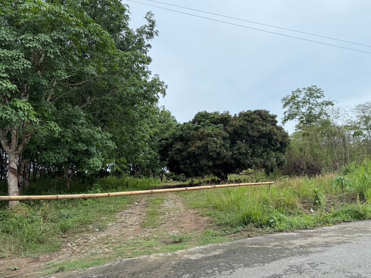 Good location land near the main road, Pong Nam Ron District, Chanthab Good location land near the main road, Pong Nam Ron District, Chanthab