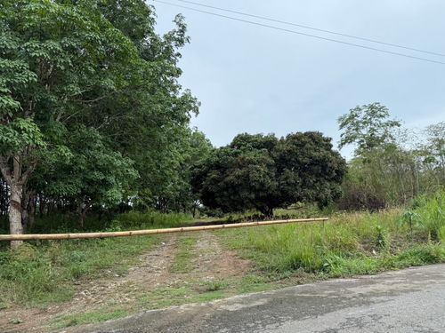 ที่ดินทำเลดี ใกล้ถนนใหญ่ อ.โป่งน้ำร้อน จันทบุรี