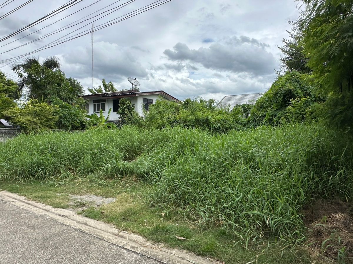 ขาย ที่ดิน 139 ตรว. ซอยสวนผัก 1 แยก 3 ติดถนนสวนผัก แปลงสวยสี่เหลี่ยม เหมาะสร้างบ้านหรืออพาร์ทเม้นท์ใกล้ถนนราชพฤกษ์ และเซ็นทรัลเวสต์วิลล์ – รูปที่ 4