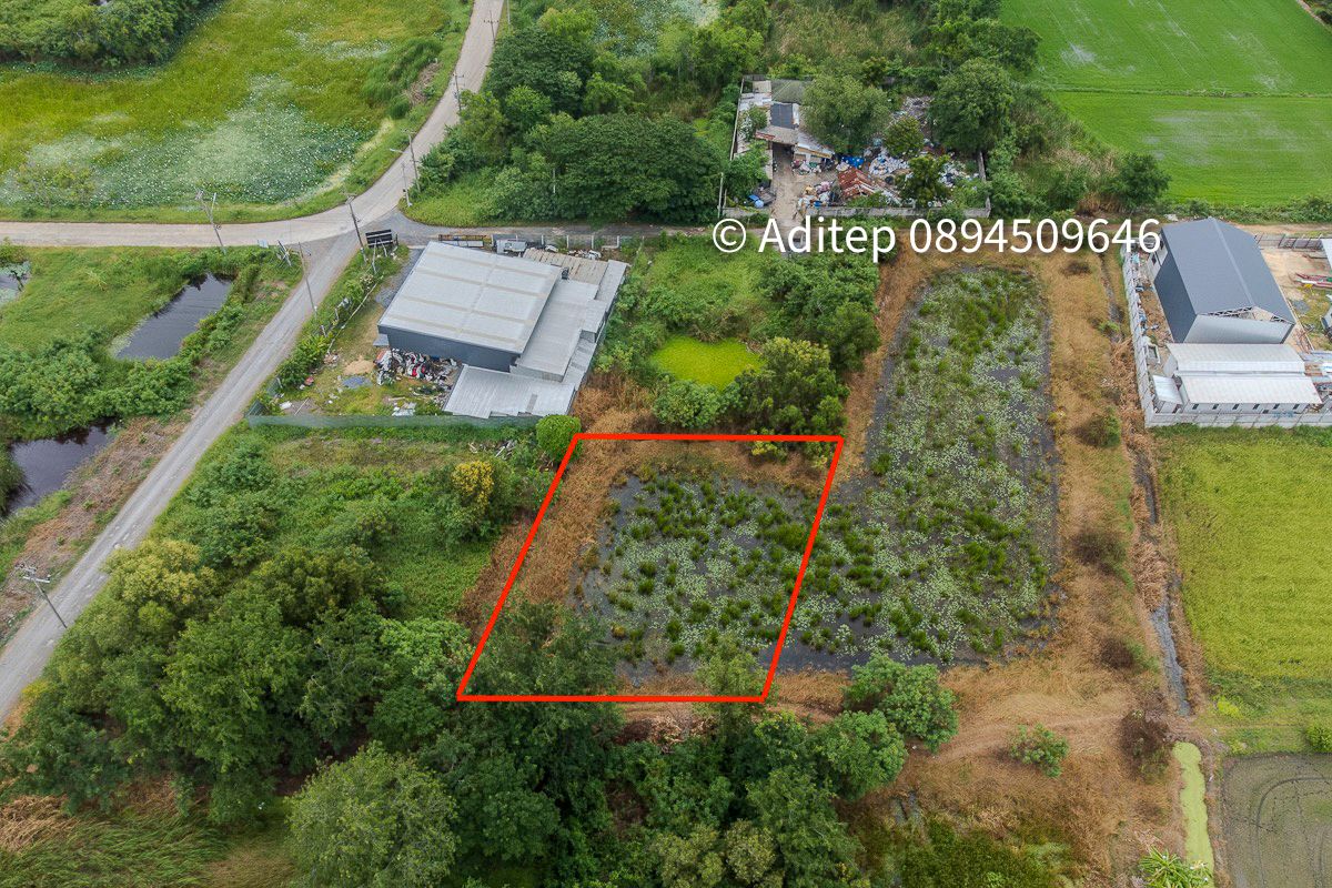 Urgent sale! 317 sq.w., Khlong Yong-Phutthamonthon Good price, close to the assessment price, near Salaya Sadit, travel to Bangkok! Urgent sale! 317 sq.w., Khlong Yong-Phutthamonthon Good price, close to the assessment price, near Salaya Sadit, travel to Bangkok!