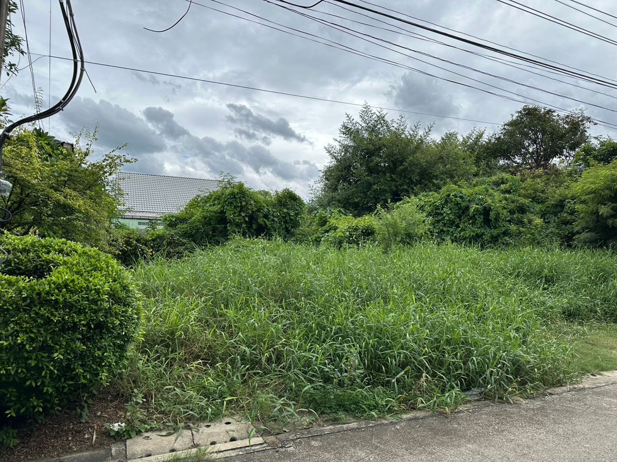 ขาย ที่ดิน 139 ตรว. ซอยสวนผัก 1 แยก 3 ติดถนนสวนผัก แปลงสวยสี่เหลี่ยม เหมาะสร้างบ้านหรืออพาร์ทเม้นท์ใกล้ถนนราชพฤกษ์ และเซ็นทรัลเวสต์วิลล์ – รูปที่ 3