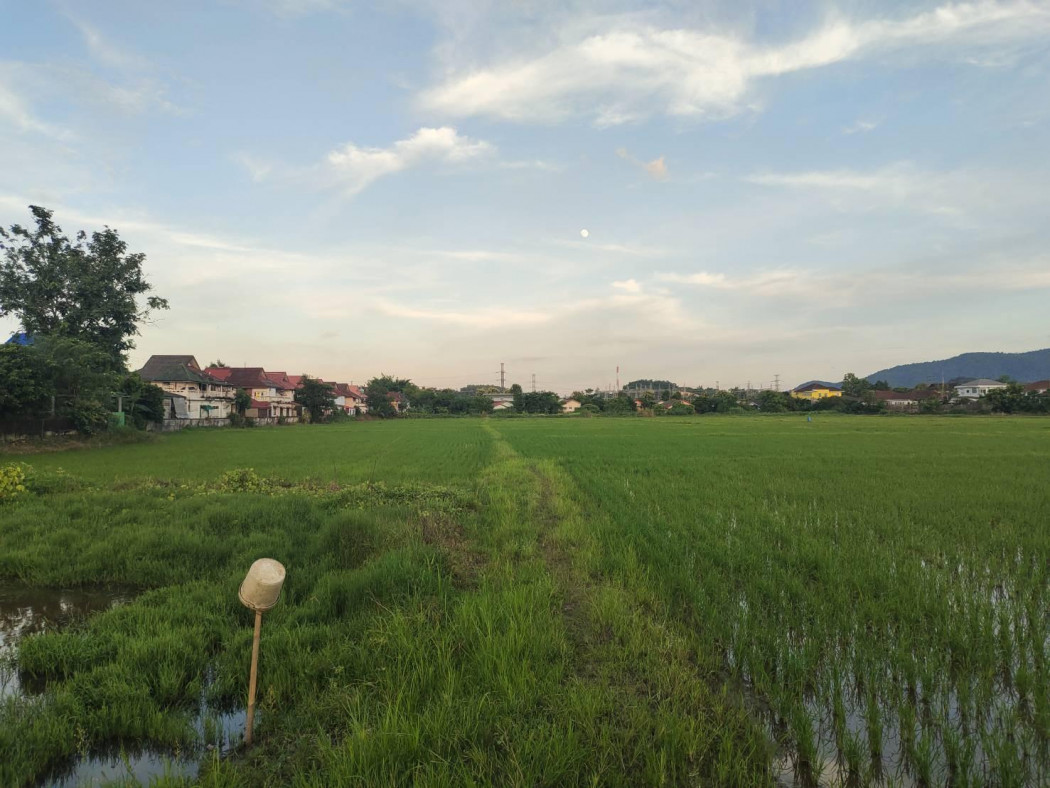 ขาย ที่ดิน เชียงราย ท่าสาย      เนื้อที่ 32 ไร่ 5 ตรว – รูปที่ 3