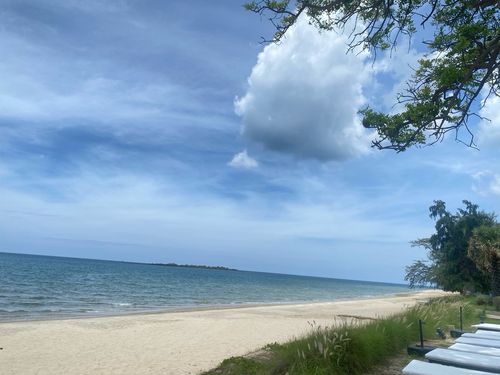 🌴 🌊ที่ดินริมทะเล หาดสวย น้ำใส ทรายขาว เงียบสงบ บรรยากาศส่วนตัว เหมาะแก่การพัฒนาโครงการในฝันโอกาสพิเศษสำหรับนักลงทุน! ที่ดินแปลงใหญ่ริมชายหาด อยู่ไม่ไกลจากถนนเพชรเกษม เหมาะอย่างยิ่งสำหรับสร้างรีสอร์ทระดับไฮเอนด์, โครงการ Wellness หรือบ้านพักตากอากาศ