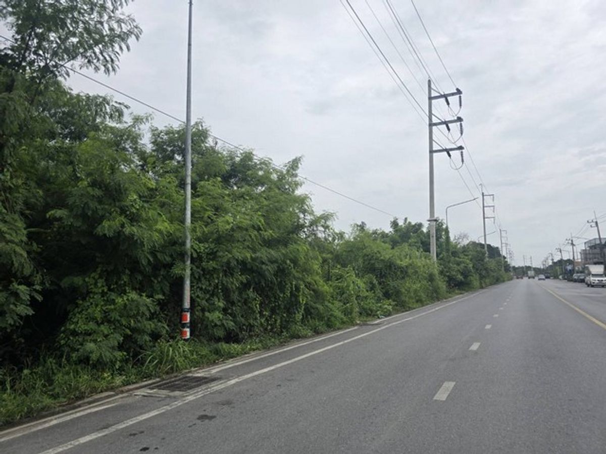 ขายที่ดินเปล่า 8-3-73.3 ไร่ ถนนสวนพริกไทย แยกตึกเหลือง เมืองปทุมธานี ใกล้วัดเสด็จ – รูปที่ 2