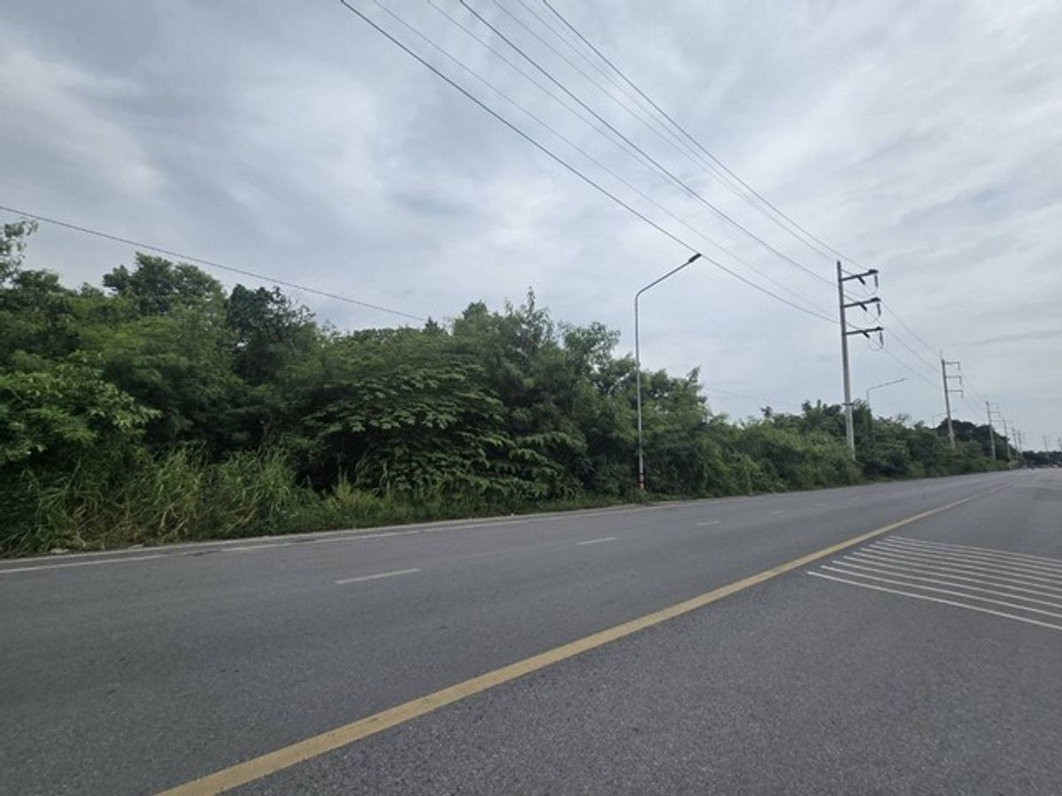 ขายที่ดินเปล่า 8-3-73.3 ไร่ ถนนสวนพริกไทย แยกตึกเหลือง เมืองปทุมธานี ใกล้วัดเสด็จ ขายที่ดินเปล่า 8-3-73.3 ไร่ ถนนสวนพริกไทย แยกตึกเหลือง เมืองปทุมธานี ใกล้วัดเสด็จ