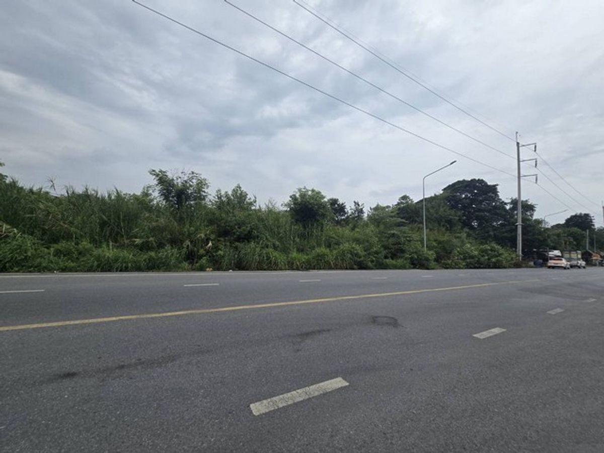 ขายที่ดินเปล่า 8-3-73.3 ไร่ ถนนสวนพริกไทย แยกตึกเหลือง เมืองปทุมธานี ใกล้วัดเสด็จ – รูปที่ 4