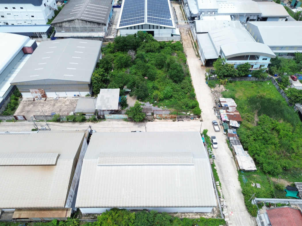Land for sale, Soi Thai Prakan 27, size 616 sq w, near Theparak Road, just 1.7 km. KK – รูปที่ 4
