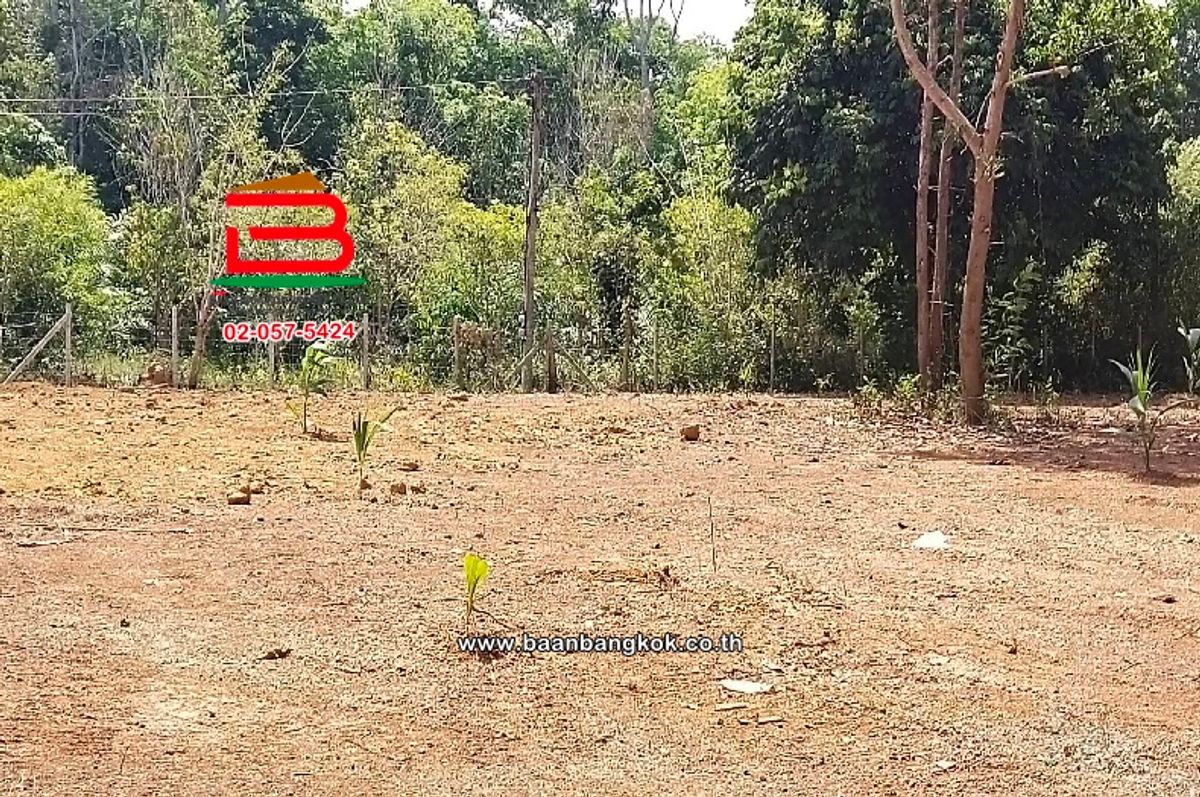 ที่ดินเปล่า อำเภอควนขนุน เนื้อที่ 950 ตร.ว ถนนควนขนุน-พัทลุง ตำบลควนขนุน อำเภอควนขนุน พัทลุง – รูปที่ 3