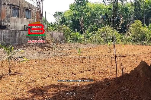 ที่ดินเปล่า อำเภอควนขนุน เนื้อที่ 950 ตร.ว ถนนควนขนุน-พัทลุง ตำบลควนขนุน อำเภอควนขนุน พัทลุง
