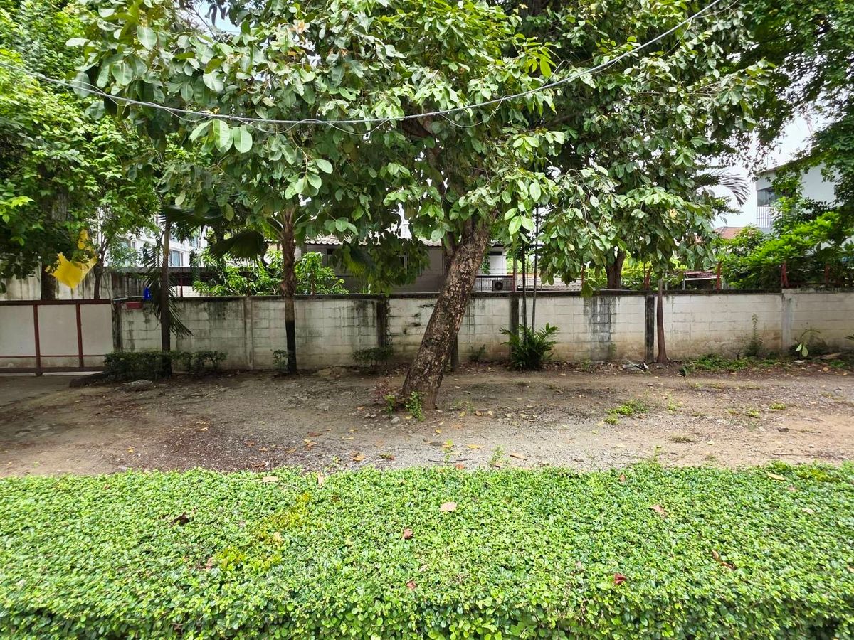 Land for Sell Rama 6: 189.7SQWAH on the Main Road 90,000,000 Near BTS Ari and Expressway AM: 0656199198