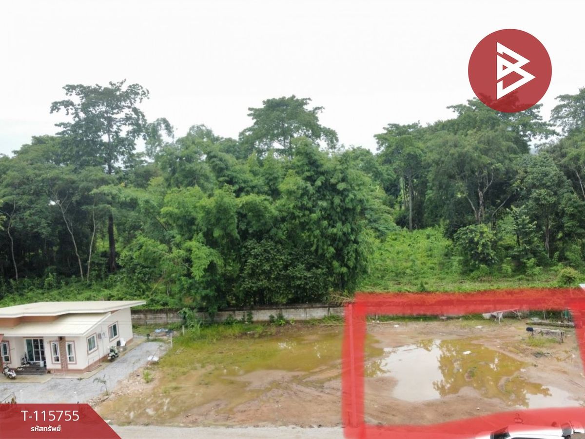 ขายที่ดิน เนื้อที่ 2 ไร่ 72.9 ตร.วา เวียงชัย เชียงราย – รูปที่ 4