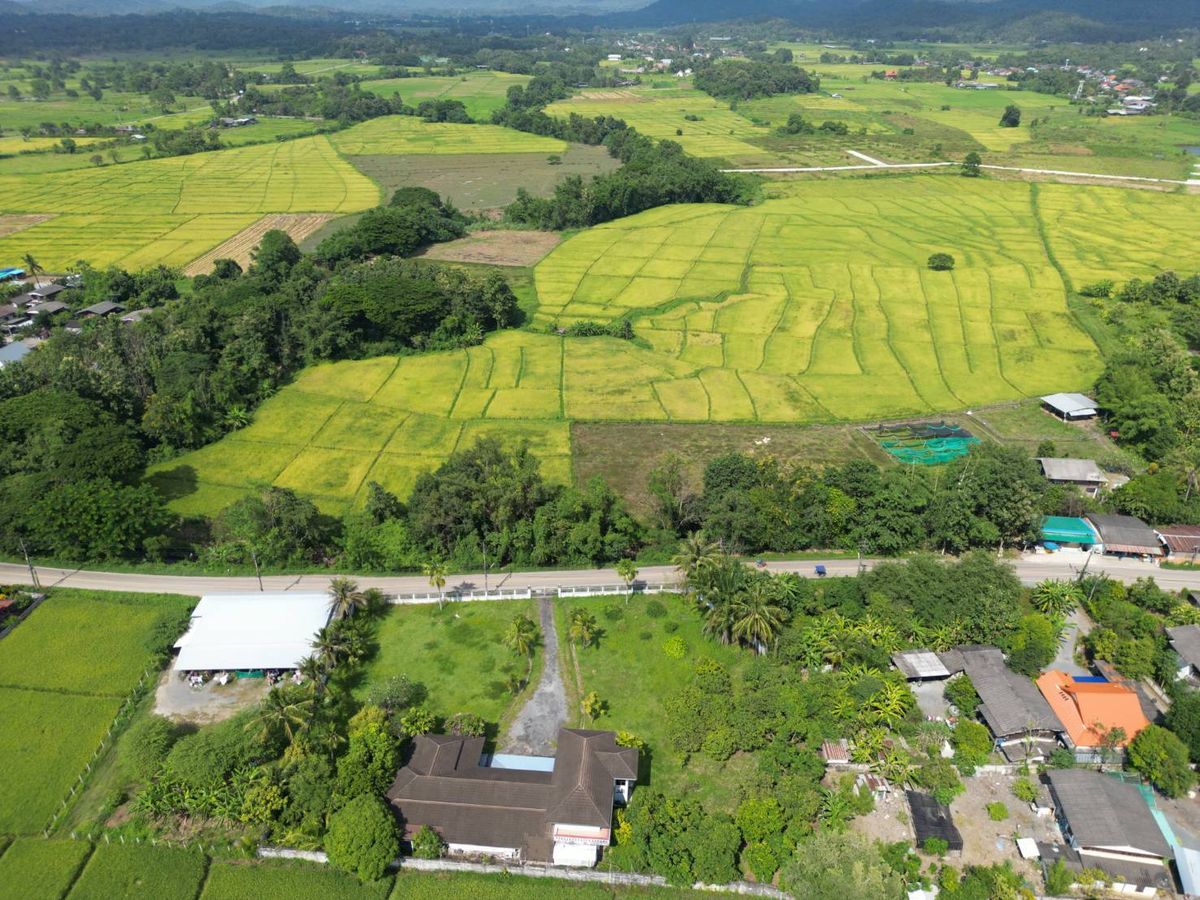 ที่ดินวิวภูเขา อ.แม่ออน จ.เชียงใหม่ – รูปที่ 4