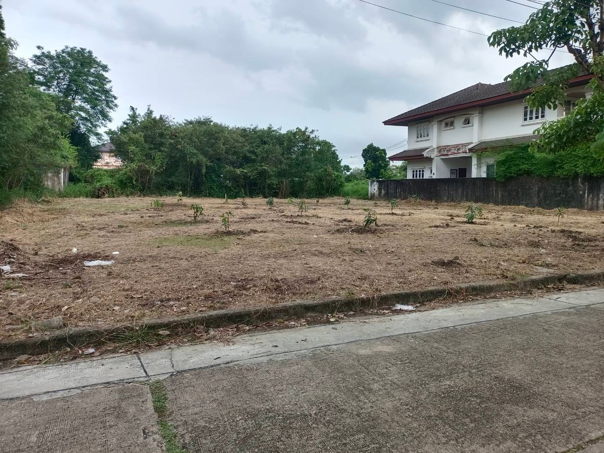 Land for sale 195 sq.w., Rueang Anan Village, Soi Phetkasem 64, Bang Khae – รูปที่ 4